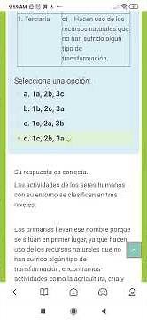 Módulo 20. Actividad formativa 7