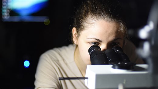 Biomedical Science BSc (Hons) at the University of Sussex