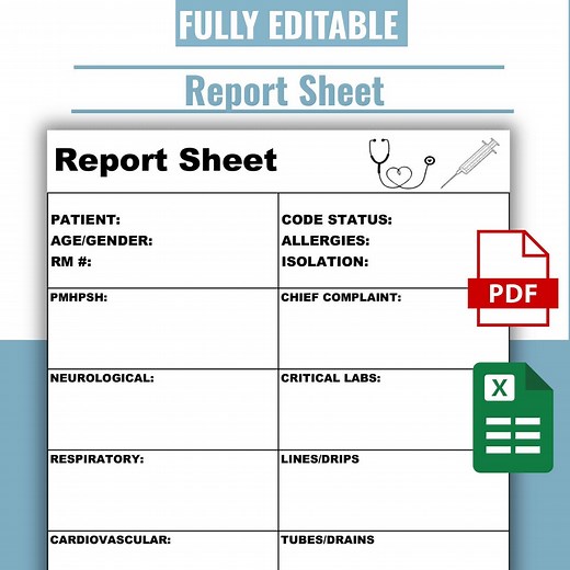 Editable Nurse Report Sheet | Patient Assessment Template (PDF & Excel) - Etsy