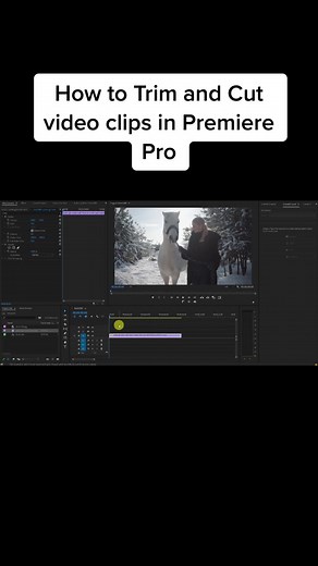 Cut and Trim Video Clips in Premiere Pro Tutorial