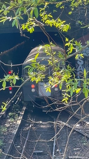 The West End Line Entrance Turning Very Green Already! #NYCSubway #NYC #NYCSubwayLife #Subway #Railfanning #NewYorkCitySubway #LIRR #SubwayTrain #NYCHistory #NYCTransit #TrainOperator #TrainConductor #MTA | NYC Subway Life