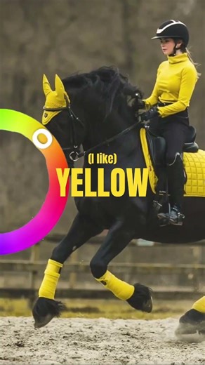 🌈🌈 #equestrian #horse #rainbow #colors