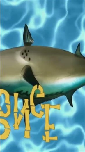 SPONGEBOB SQUAREPANTS INTRO REMIX FISH CAGE