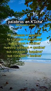 2.6K views · 65 reactions | palabras en kiche, vocabulario idioma kiche aprender kiche | NerySpanish - Academia de idiomas | Facebook