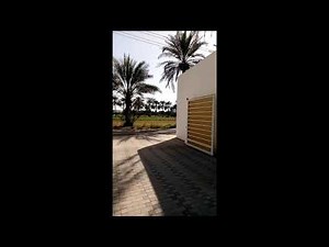 BENINCA BOB30M - Swing Gate Machine