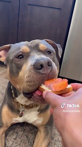 ASMR Charcuterie Board for Prince the Pitbull Puppy