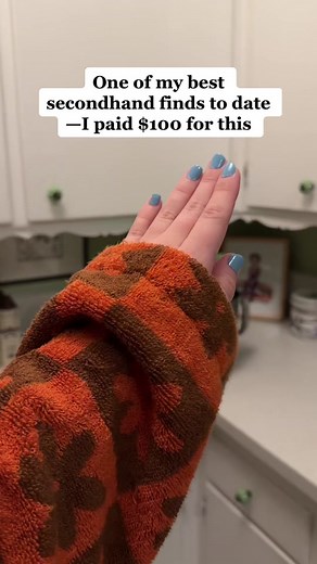 $100 KitchenAid Mixer: Secondhand Find!