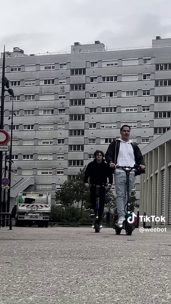 Custom Dualtron Mini Special Long Body Electric Scooter | Weebot Bordeaux