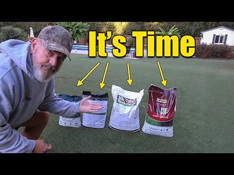 Fall Lawn Grub Killer and Last Fertilizer
