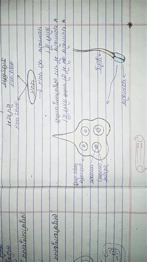 class 12 Biology notes # 🔥🔥🔥🔥