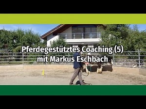 Pferdegestütztes Coaching mit Markus Eschbach (5)