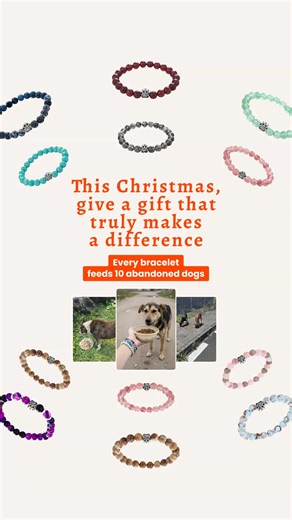 💔 Millions of abandoned dogs struggle for survival every single day... Once beloved companions now roam the streets, searching for their next meal. The statistics are heartbreaking: - Over 200 million stray dogs around the world - Countless dogs surviving on scraps and refuse - Former pets forgotten and left to fend for themselves - Local shelters overwhelmed and underfunded - Communities struggling to address the growing crisis This silent suffering continues daily, hidden from view but very r