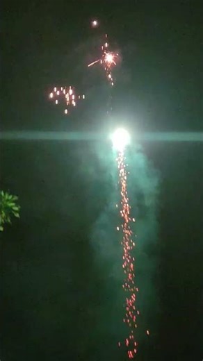 bunga api, firework