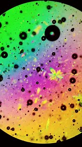 Honey Under the Microscope: A Burst of Color