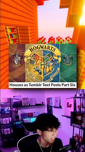 Harry Potter | Hogwarts Houses As Tumblr Posts