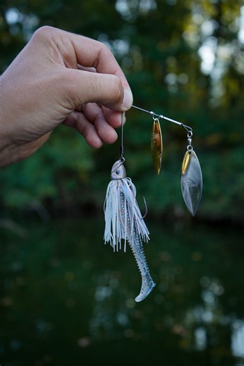 Spinnerbait season is here. The Picasso Lures Titanium Double Willow with a free-swinging head swimbait trailer has been a cheat code for me lately. | Fish the Moment