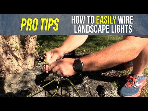 How to Easily Wire Landscape Lights