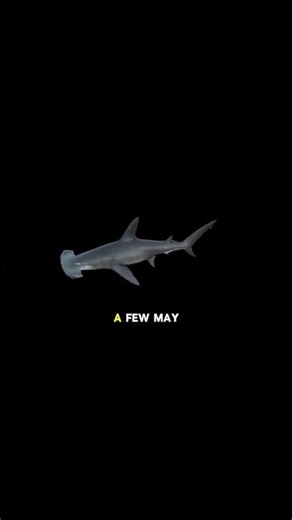 Discover the Vibrant Life of Fish in a Crysta.