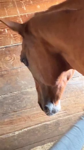 1.1K views | Maxine had really tight fascia along her neck and back,...