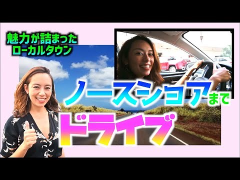 【ハワイでレンタカー！】ノースショアドライブ🚘~前編~