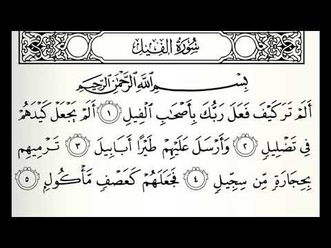 تلاوات مختارة سورة الفيل القارئ أيمن الغنام