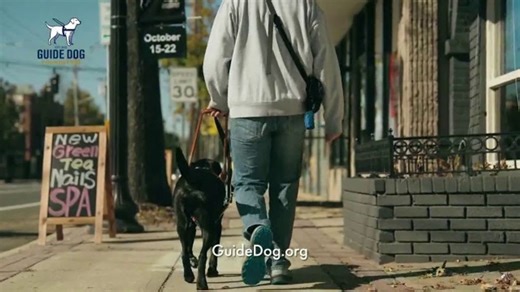 Guide Dog Foundation TV Spot, 'Creating Brighter Tomorrows'