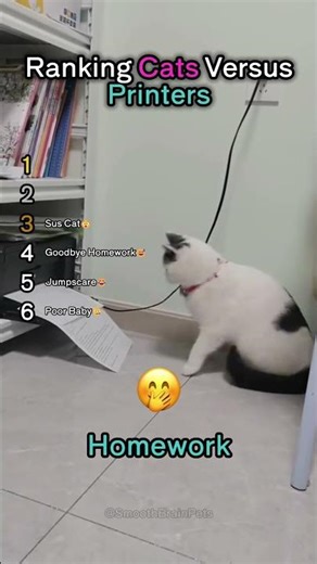 Ranking Cats Versus Printers😂