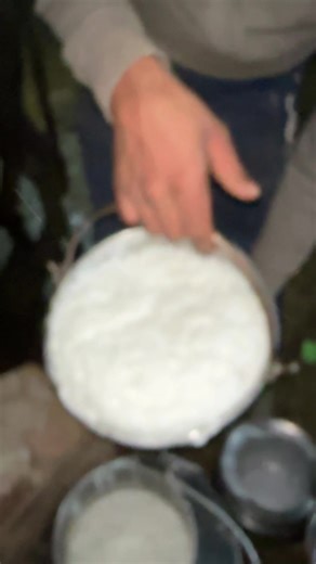 Life on a Dairy Farm: Daily Challenges and Rewards