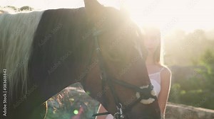 Kind woman animal lover enjoying a sunset with her horse in the forest. Beautiful moment of interaction between human and animal.