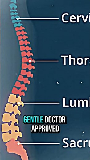 Lumbar Spinal Stenosis? Watch This First!