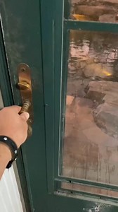 The recreational pond we built for 🦎 during our winter retreat turned out incredible! #pond #livingtheaquascapelifestyle #watergarden #ilovemyjob | Ed The Pond Professor