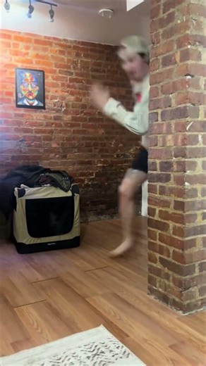 Mini Aussie Puppy Loves Playing Chase With Owner