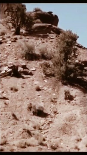 La revanche d'un pistolero Western, JackNicholson Film complet en français