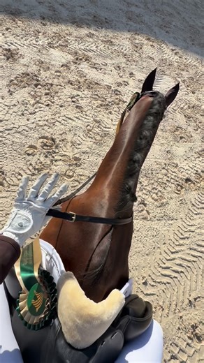 Jasmins Reitsportblog on Instagram: "Wusstet ihr, dass man laut FEI Regeln keine weißen Handschuhe tragen muss? Uns wurde auch erklärt, dass es für die Wertnote meistens besser ist, dunkle Handschuhe zu tragen - auch wenn weiß natürlich gerne gesehen wird. Wie ist das in Deutschland? Falls ihr Dressurturniere reitet, welche Farbe haben eure Handschuhe und würdet ihr für eine bessere Note mit dunklen Handschuhen reiten? 🤍"