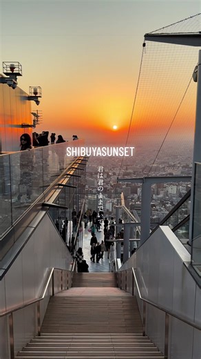 Shibuya Sky: Tokyo Dusk & Night Views