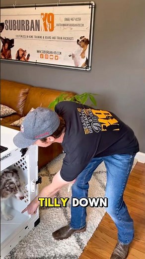 FAST & EASY Way To Fix Your Dog's Crate Issues!