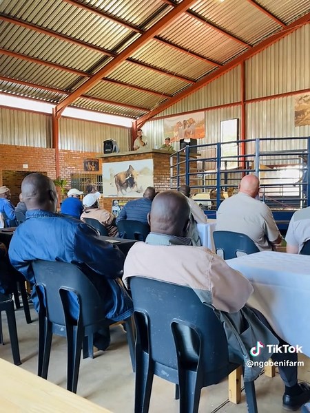 Exploring Boer Goat Farming in Limpopo, South Africa
