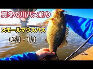 Midwinter River Bass Fishing Smallmouth Bass