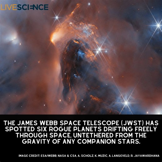The James Webb Space Telescope has uncovered six "rogue planets" careening through space without a star. The objects are believed to have formed directly from gas collapse, blurring the lines between planets and stars. Learn more 👉 https://trib.al/LtavEKl | LiveScience