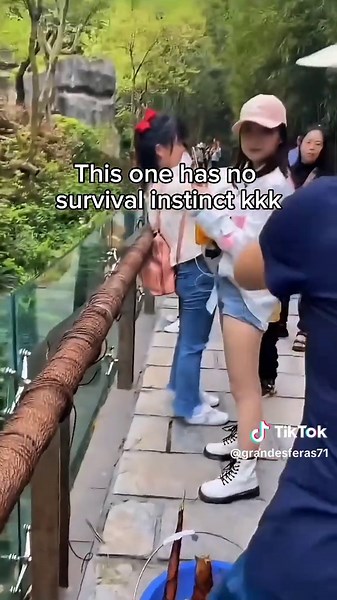 Now I understand the Po 😅 #panda #bear #animalsoftiktok