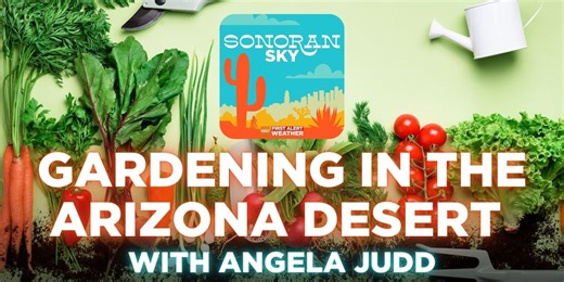 Sonoran Sky Podcast: Gardening in the Arizona desert with Angela Judd