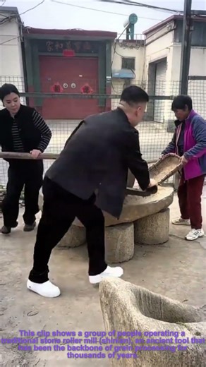 Traditional Stone Roller Mill Grinding | Timeless Grain Processing Craft