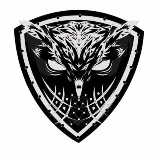 Pinger pro top 2 ❤️Owl’s 🦉#NeverGiveUp#teamspeak#cis#owls#fyp