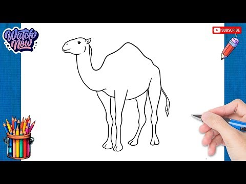 How to draw Camel - Mammals Drawing