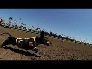 Wiener Nationals 2013