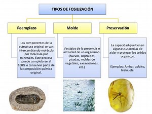 Que Es La Edad Relativa Y Absoluta De Las Rocas