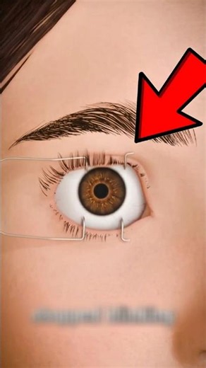 What Happens If You Never Blink Again? 😳 The Truth Will Shock You!