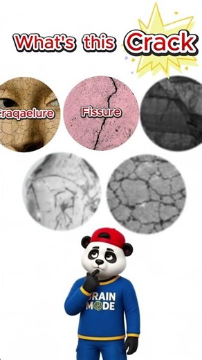 Do You Know the 5 Types of Cracks? 🔍 #shorts #curiosity