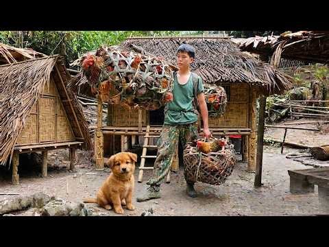 Living Alone in the Woods: Moving Chickens to Safe Shelter from Wild Predators