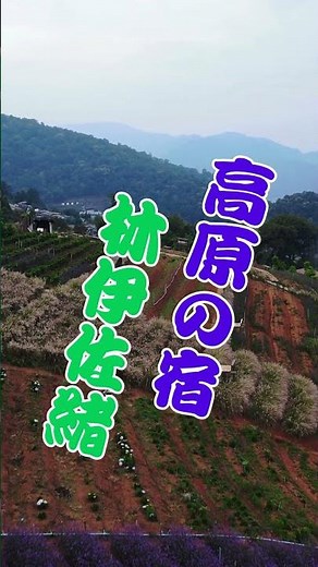 高原の宿 林伊佐緒...人生の想い出の唄(悲しかった、楽しかった、嬉しかった...当時の想い出)......人生を一緒に楽しみましょう。。 #https #哀愁 #travel #昭和歌謡